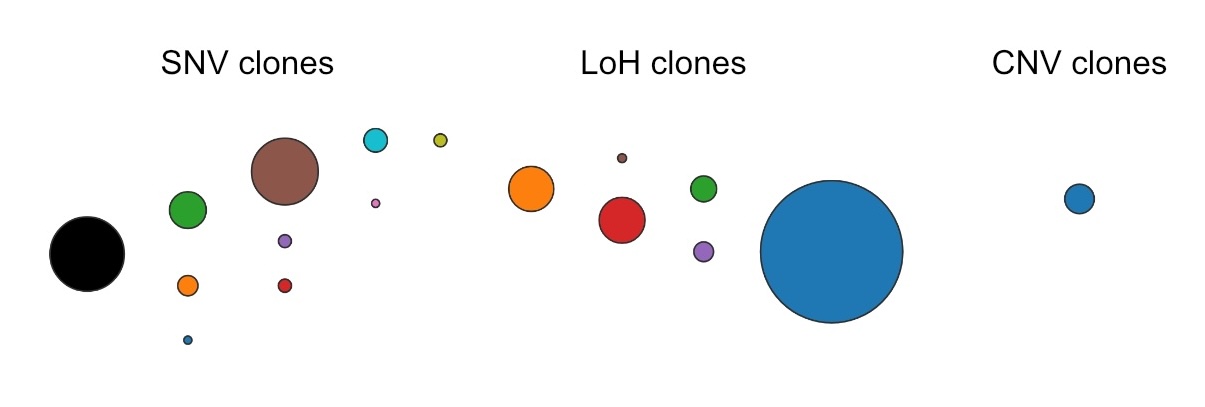 Clones called by SPARC