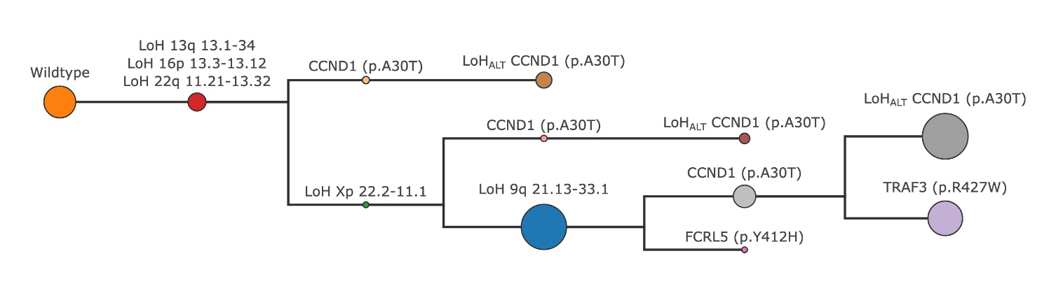 Combined tree created by SPARC