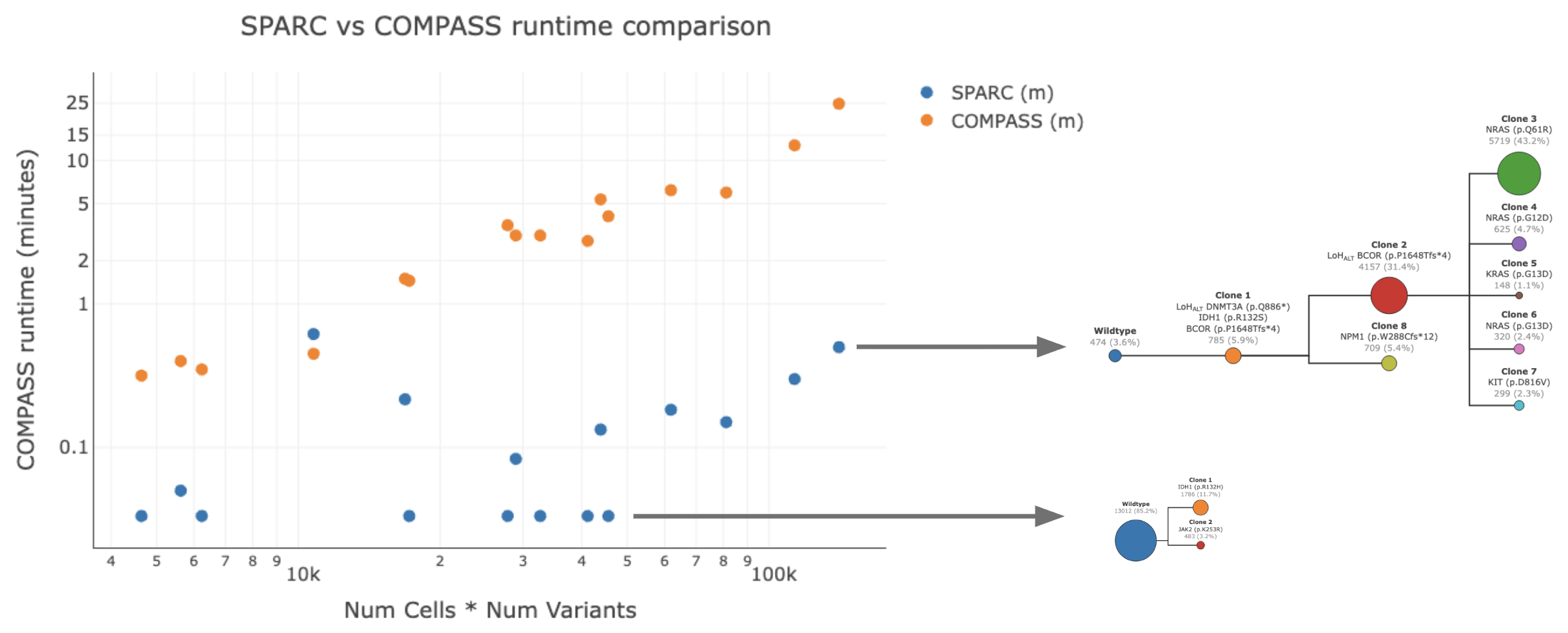 Runtime comparison between SPARC and COMPASS