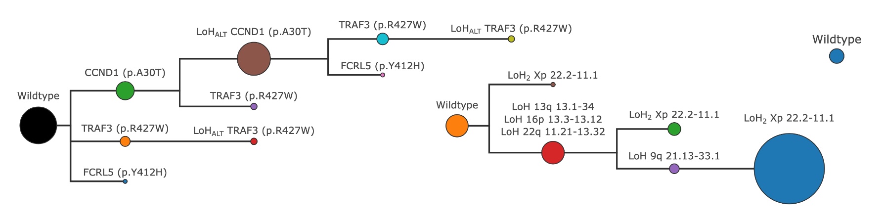 Initial tree created by SPARC